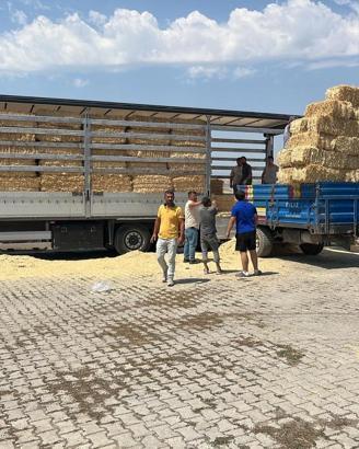 Çankırılı çiftçilerden, Karabüklü hayvan sahiplerine saman yardımı