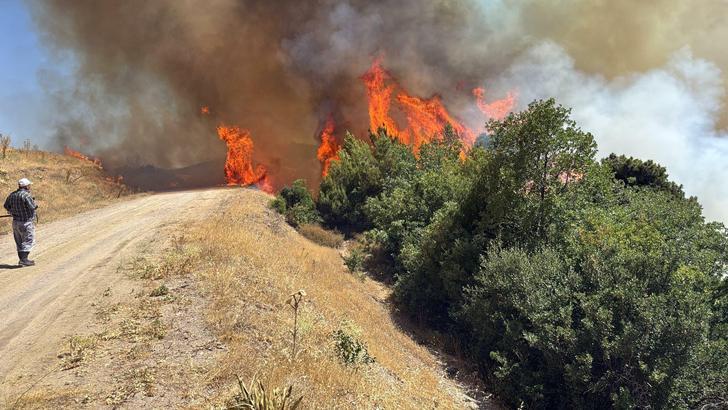 Manisa'da tarım arazisinde yangın