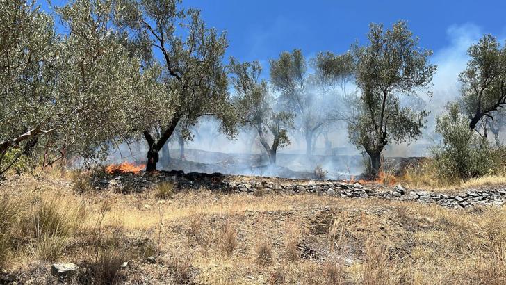 Balıkesir'de tarım arazisinde çıkan yangın 2 saatte kontrol altına alındı