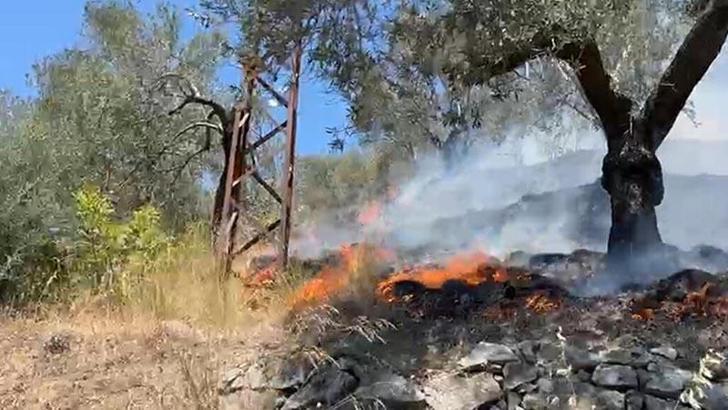 Balıkesir'de tarım arazisinde çıkan yangın 2 saatte kontrol altına alındı
