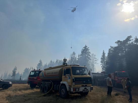 Çankırı'da orman yangını / Ek fotoğraflar