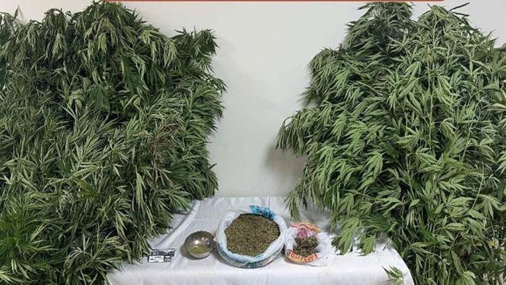 Muğla'da uyuşturucu operasyonu