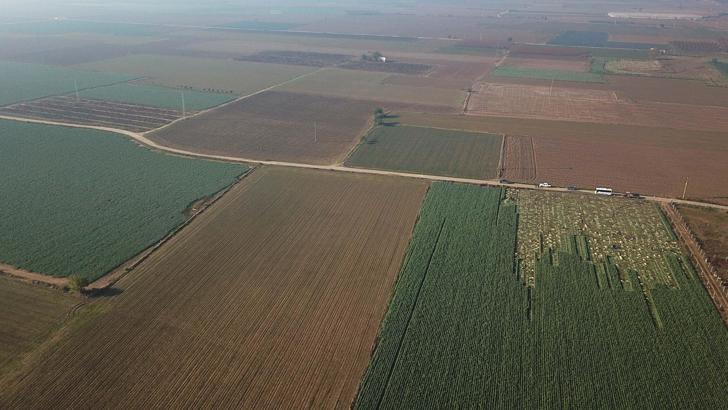 ‘İzmir'in verimli tarım alanları birkaç on yılda üretimden düşebilir’