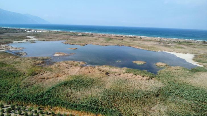 Milleyha Kuş Cenneti yeniden su tuttu, kuşlar geri dönmeye başladı
