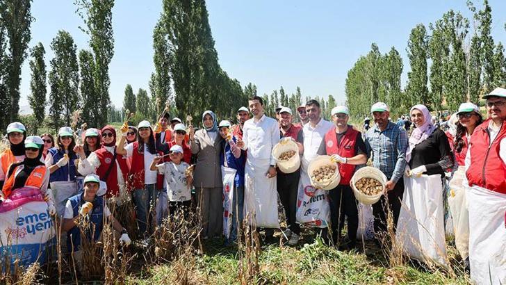 Gönüllü gençler hasat için tarım alanlarında