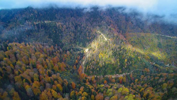 Yılın ilk 7 ayında 4 bin 426 yangın çıktı; yaklaşık 50 bin hektar alan zarar gördü
