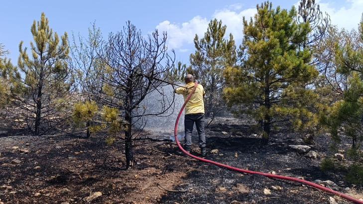 Amasya’da 3 hektar orman yandı