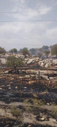 Mardin'de örtü yangını, 2 saatte söndürüldü