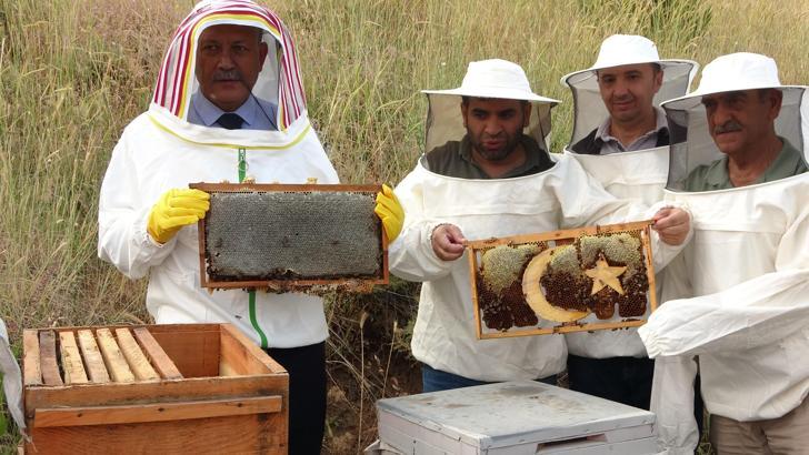 Bitlis'te hasat başladı; 150 kovandan 1,5 ton bal alma hedefi