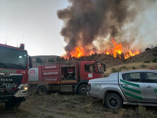 Afyonkarahisar'da orman yangını