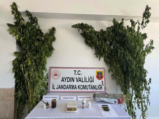 Evinde Hint keneviri ve esrarla yakalanıp gözaltına alındı