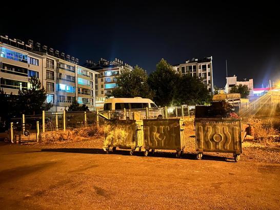 Tunceli'de sokak kedisini öldüren şüpheli tutuklandı