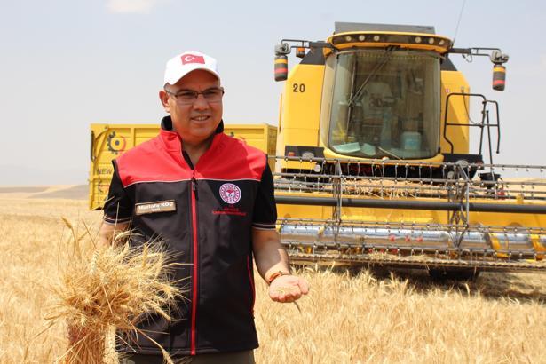 Ağrı'da 280 bin ton buğday, 160 bin don arpa rekoltesi bekleniyor