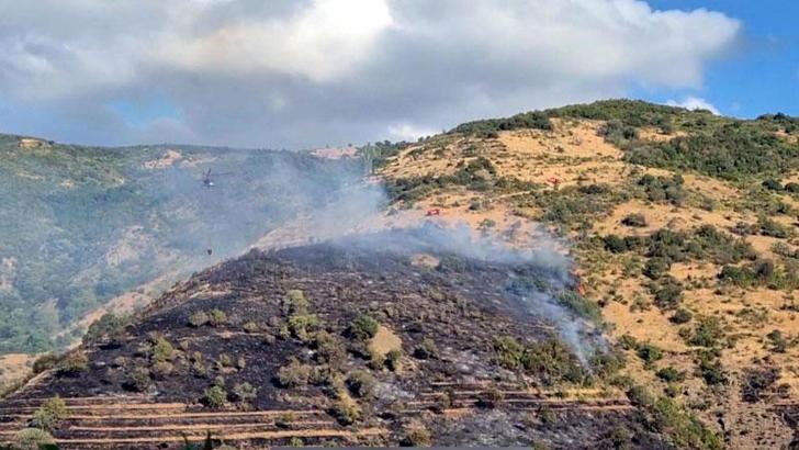 Tekirdağ'da makilik yangını, ormana sıçramadan söndürüldü