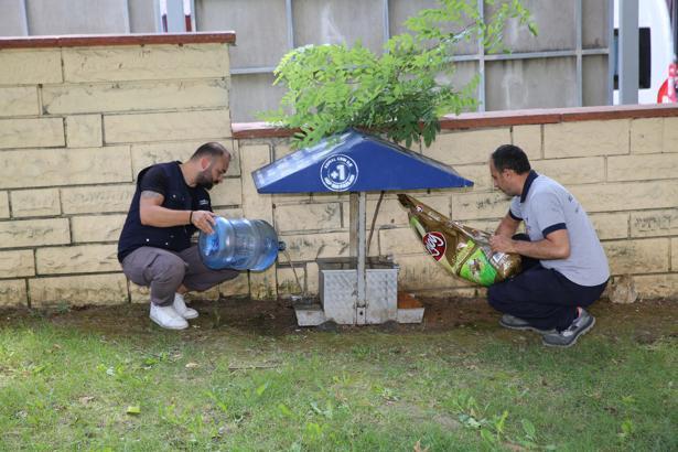 Küçükçekmece Belediyesi’nden sokak hayvanları için mama ve su desteği