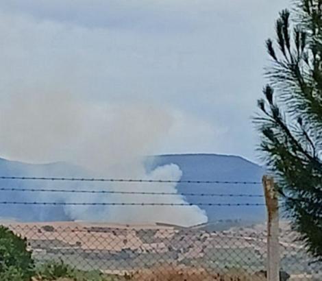 Bursa'da orman yangını