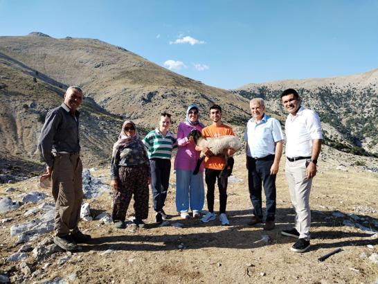 Hibe destekle başladı, 186 koyun yetiştirdi