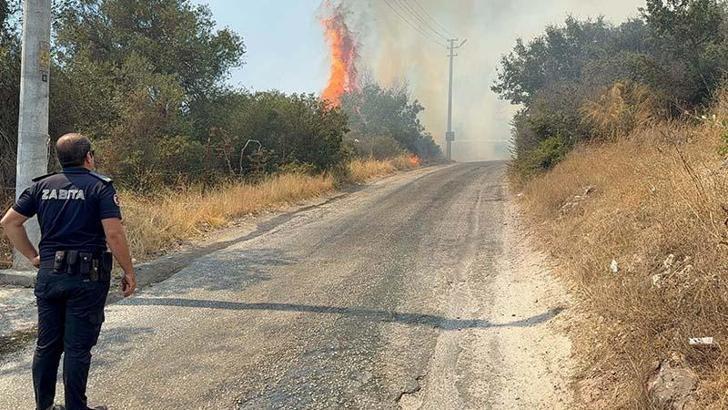 Bodrum'da maki yangını