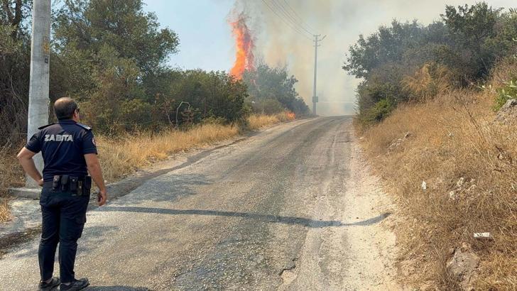 Bodrum'da maki yangını