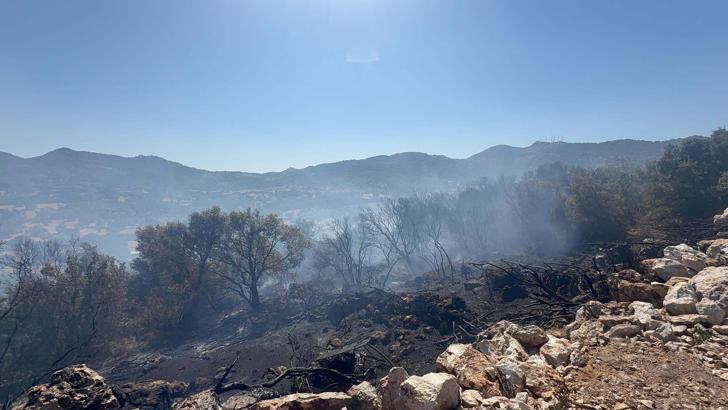 Bodrum'da maki yangını (2)