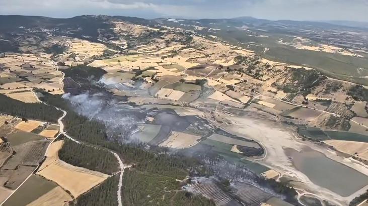 Bursa'da orman yangını (3)