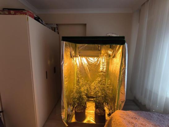 Tunceli’de 1 aydaki uyuşturucu operasyonlarında 14 gözaltı