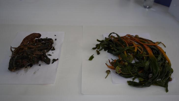 Şırnak’ta yetişen 2 bitkinin Alzheimer, diyabet ve glokoma karşı etkisinin araştırıldığı çalışmada olumlu sonuç