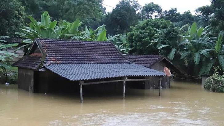 Vietnam'da sel: 8 ölü