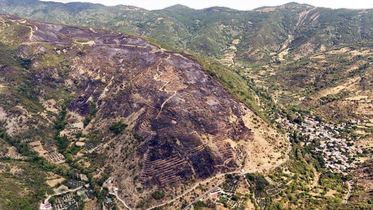 Tekirdağ'daki yangınla ilgili gözaltına alınan şüpheli serbest