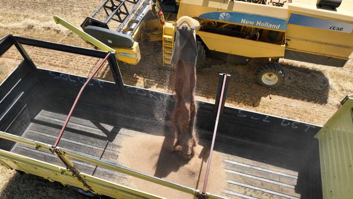 Halkın toprağından halkın sofrasına halk ekmek