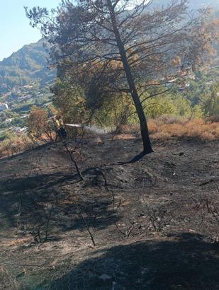 Hatay’daki orman yangını söndürüldü