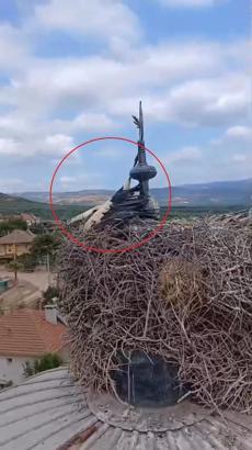 Cami kubbesinde ayağı aleme sıkışan leyleği kurtarma anları kask kamerasında