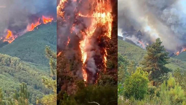 İspanya ve Portekiz orman yangınlarıyla mücadele ediyor