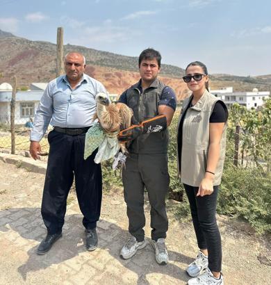 Şırnak’ta yaralı 4 kuş türü tedavi altına alındı