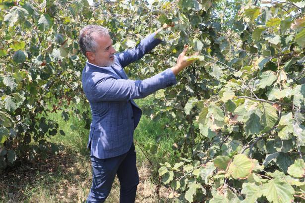 YRP’li Kılıç: Fındığın kilosu 6 dolar ya da 250 TL üzerinde olmalıdır