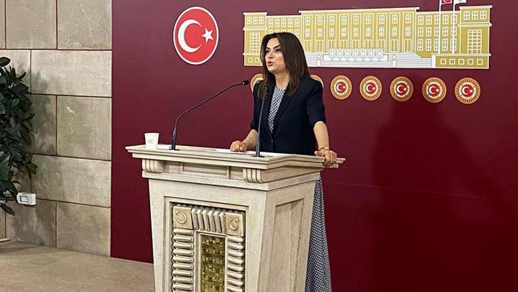 DEM Parti'li Koçyiğit: Komisyonun isminde 'demokrasi' kavramının olmasında ısrarcıyız