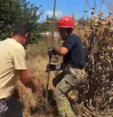 İstanbul- Silivri'de kuyuda 2 gündür mahsur kalan köpeği itfaiye kurtardı