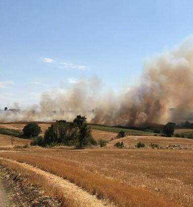 Çanakkale'de tarım arazisinde yangın