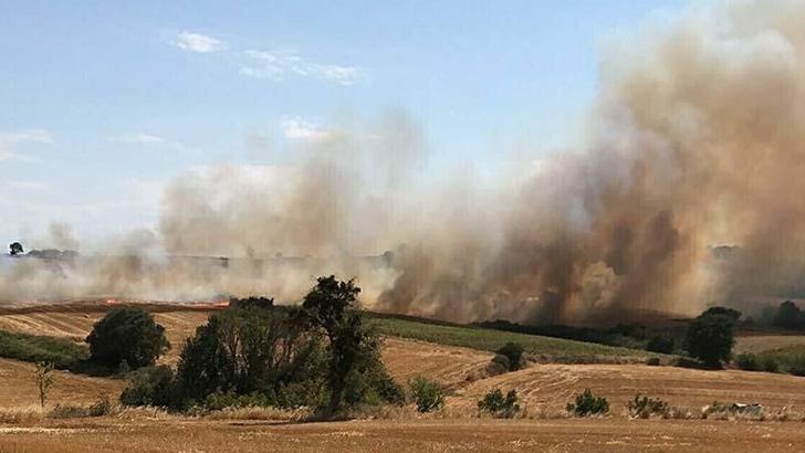 Çanakkale'de tarım arazisinde yangın