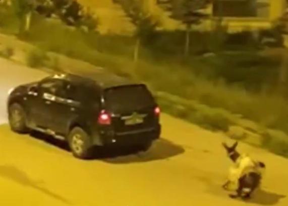 Eşeği otomobilin arkasına bağlayıp sürükleyerek götürenlere ceza