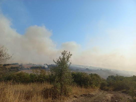 Balıkesir'de tarım arazisinde yangın