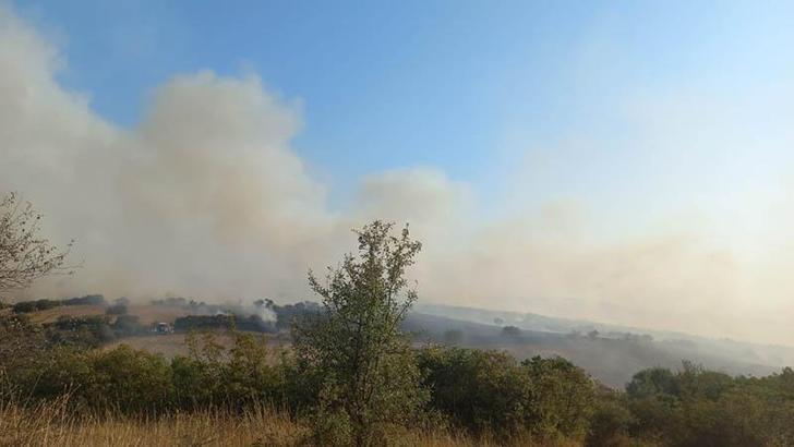 Balıkesir'de tarım arazisinde çıkan yangın kontrol altında