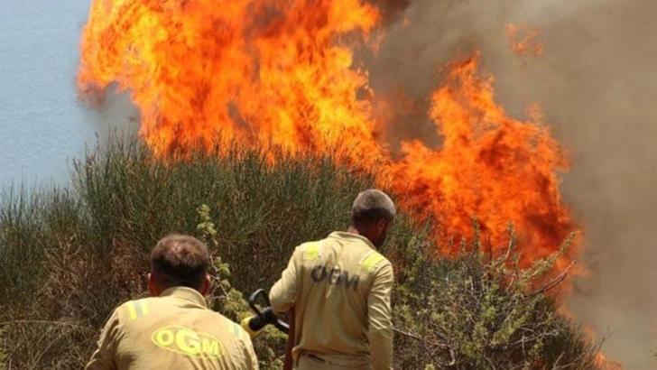 Karabük Üniversitesi'nden orman yangınlarına karşı politika raporu