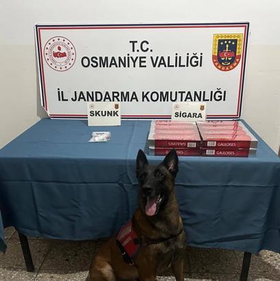 Osmaniye’de jandarma son bir haftada 114 şüpheliyi yakaladı