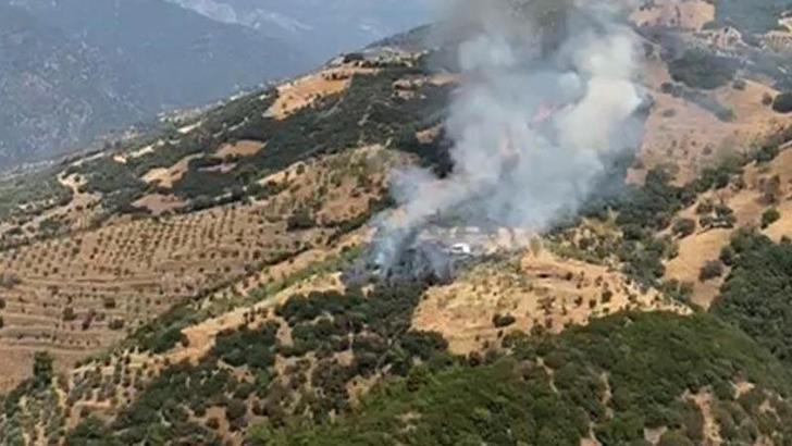 Aydın'da zeytinlik yangını kontrol altında