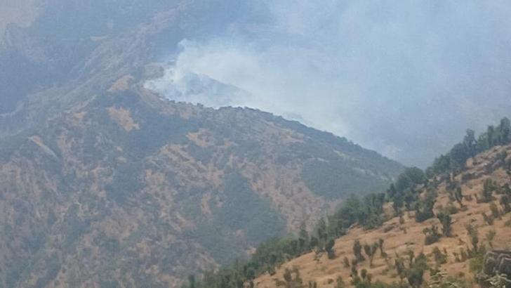 Şırnak’ta ormanda çıkan örtü yangını kontrol altında