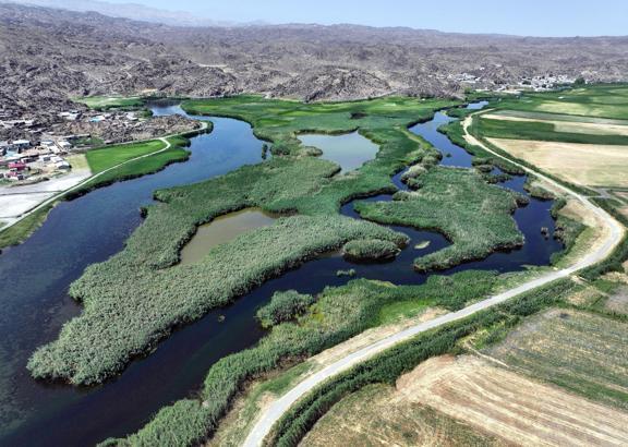 Ağrı Dağı'nın eteklerindeki sulak alanlar turizme kazandırılıyor