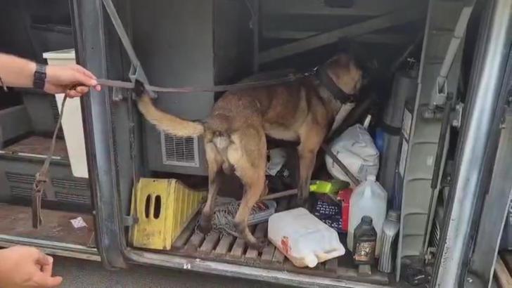 Otobüste yolcunun valizinde 1 kilo 182 gram skunk ele geçirildi