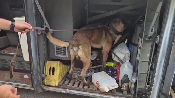 Otobüste yolcunun valizinde 1 kilo 182 gram skunk ele geçirildi