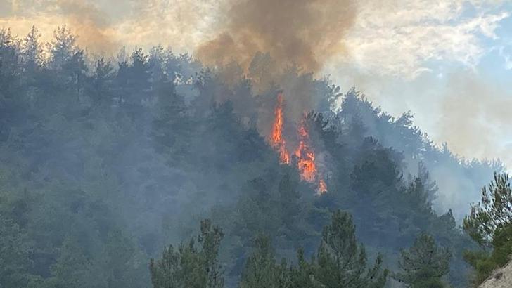 Karabük’te çıkan orman yangını kontrol altında